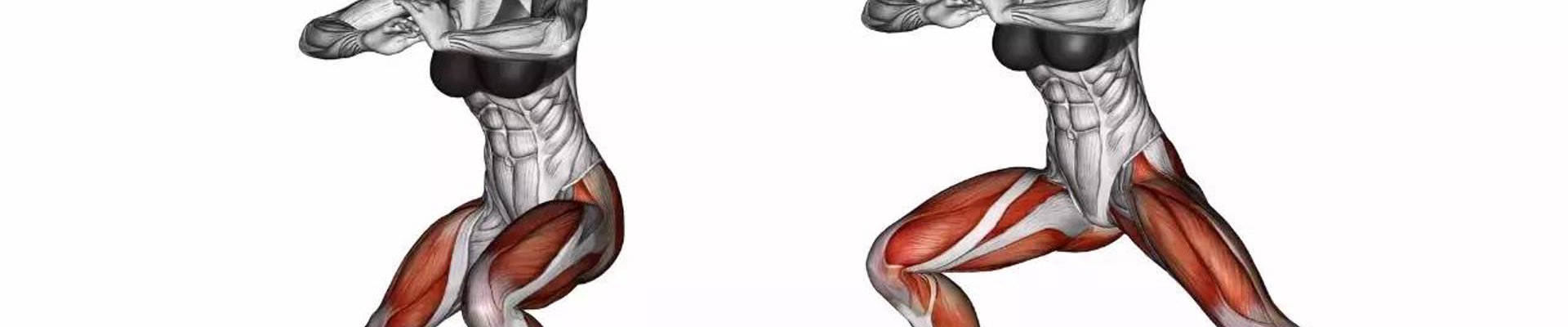 我们的服务